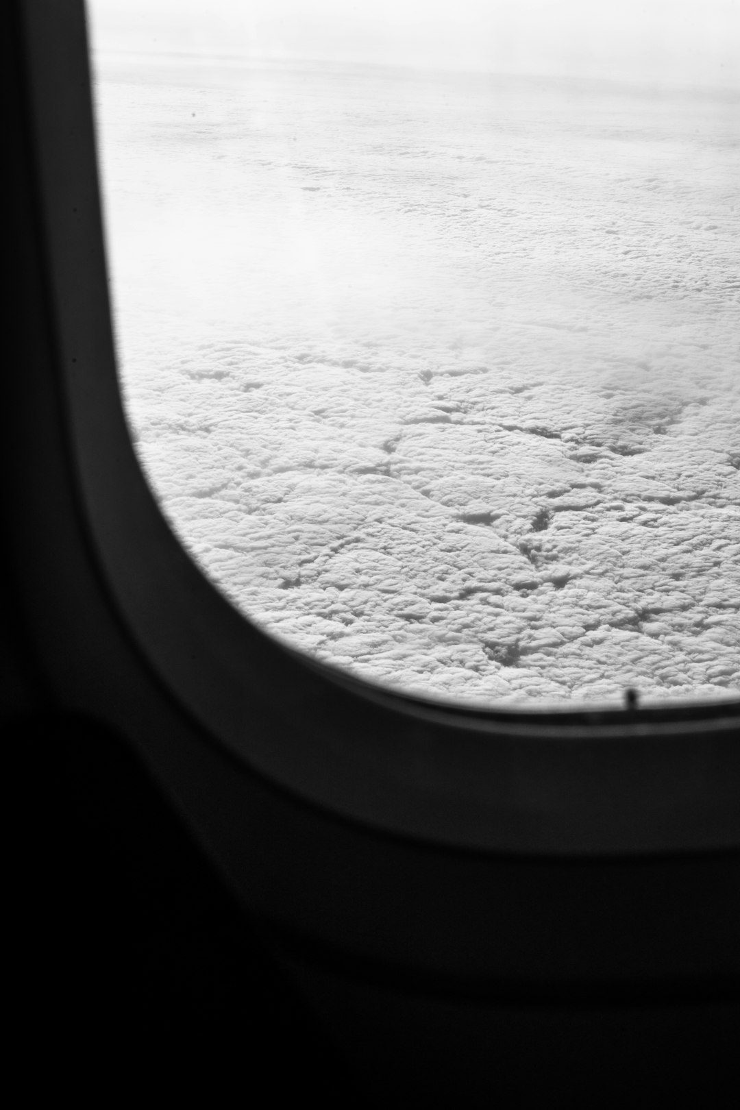 Free walking tour group